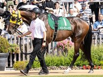 ����å��ǳ��������ɽ�����ޤ�