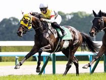 ����å��ǳ��������ɽ�����ޤ�