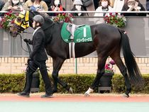 ����å��ǳ��������ɽ�����ޤ�