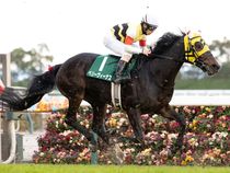 ����å��ǳ��������ɽ�����ޤ�