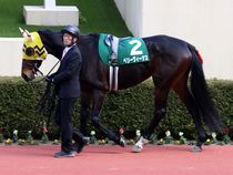 ����å��ǳ��������ɽ�����ޤ�