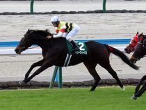 ����å��ǳ��������ɽ�����ޤ�