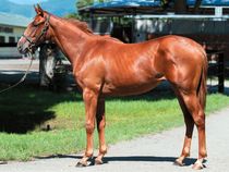 ����å��ǳ��������ɽ�����ޤ�