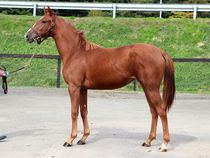 ����å��ǳ��������ɽ�����ޤ�