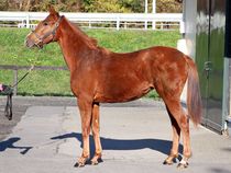 ����å��ǳ��������ɽ�����ޤ�