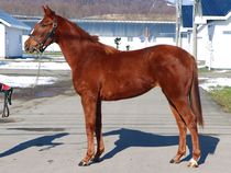 ����å��ǳ��������ɽ�����ޤ�