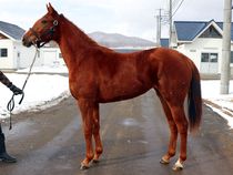 ����å��ǳ��������ɽ�����ޤ�