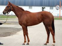 ����å��ǳ��������ɽ�����ޤ�