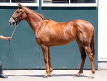 ����å��ǳ��������ɽ�����ޤ�