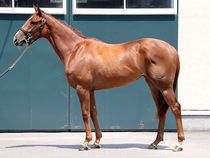 ����å��ǳ��������ɽ�����ޤ�