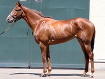 ����å��ǳ��������ɽ�����ޤ�