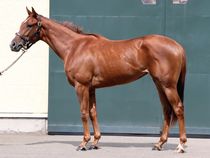 ����å��ǳ��������ɽ�����ޤ�