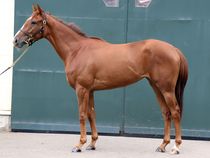 ����å��ǳ��������ɽ�����ޤ�