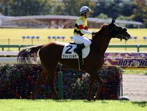 ����å��ǳ��������ɽ�����ޤ�