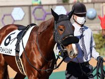 ����å��ǳ��������ɽ�����ޤ�