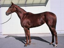 ����å��ǳ��������ɽ�����ޤ�