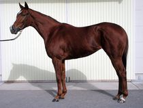 ����å��ǳ��������ɽ�����ޤ�