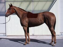 ����å��ǳ��������ɽ�����ޤ�