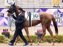 ����å��ǳ��������ɽ�����ޤ�