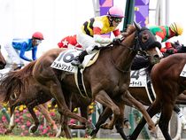 ����å��ǳ��������ɽ�����ޤ�