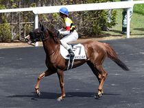 ����å��ǳ��������ɽ�����ޤ�