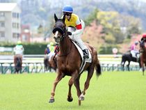 ����å��ǳ��������ɽ�����ޤ�