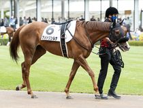 ����å��ǳ��������ɽ�����ޤ�