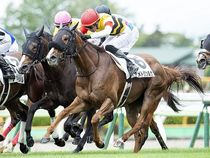 ����å��ǳ��������ɽ�����ޤ�