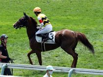 ����å��ǳ��������ɽ�����ޤ�