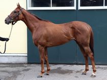 ����å��ǳ��������ɽ�����ޤ�