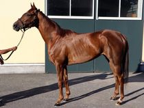 ����å��ǳ��������ɽ�����ޤ�