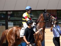 ����å��ǳ��������ɽ�����ޤ�