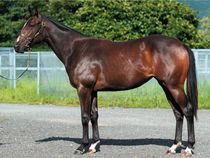 ����å��ǳ��������ɽ�����ޤ�