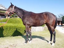 ����å��ǳ��������ɽ�����ޤ�