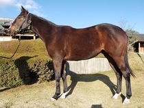 ����å��ǳ��������ɽ�����ޤ�