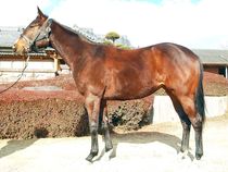 ����å��ǳ��������ɽ�����ޤ�