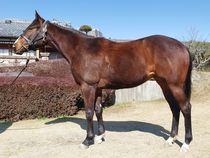 ����å��ǳ��������ɽ�����ޤ�