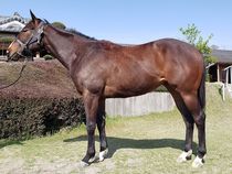 ����å��ǳ��������ɽ�����ޤ�