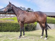 ����å��ǳ��������ɽ�����ޤ�