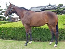 ����å��ǳ��������ɽ�����ޤ�