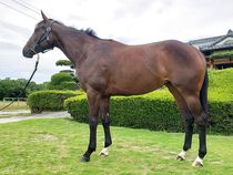 ����å��ǳ��������ɽ�����ޤ�