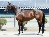 ����å��ǳ��������ɽ�����ޤ�