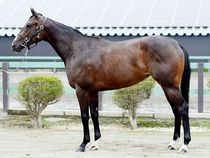 ����å��ǳ��������ɽ�����ޤ�