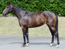 ����å��ǳ��������ɽ�����ޤ�