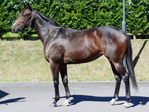 ����å��ǳ��������ɽ�����ޤ�