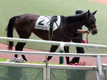 ����å��ǳ��������ɽ�����ޤ�