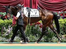 ����å��ǳ��������ɽ�����ޤ�