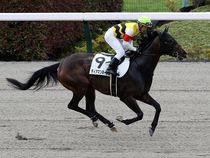 ����å��ǳ��������ɽ�����ޤ�