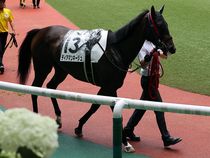 ����å��ǳ��������ɽ�����ޤ�