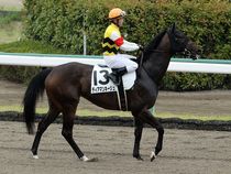 ����å��ǳ��������ɽ�����ޤ�